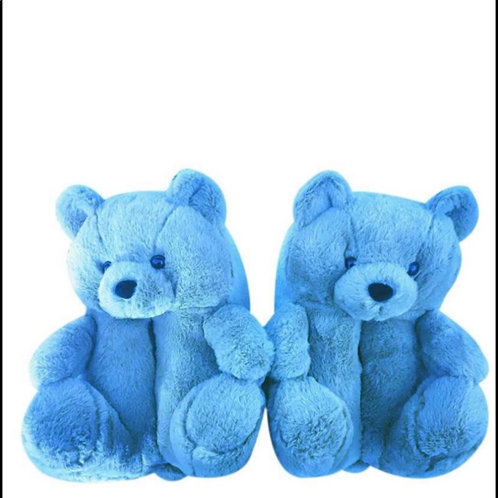 Teddy bear 🧸 house shoes